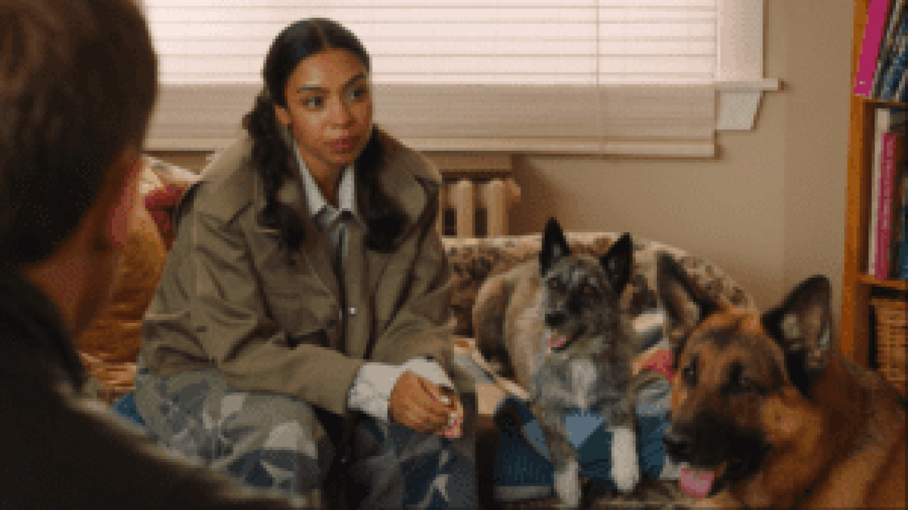 Exploring the Heartwarming Bonds Between Humans and Animals