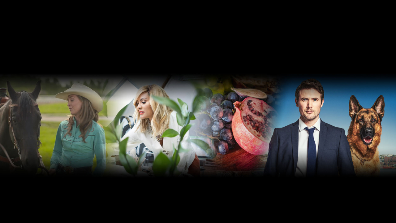 Top Moments of Jesus Calling Season 2