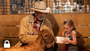 Heartland Season 16 Heartland Season 16